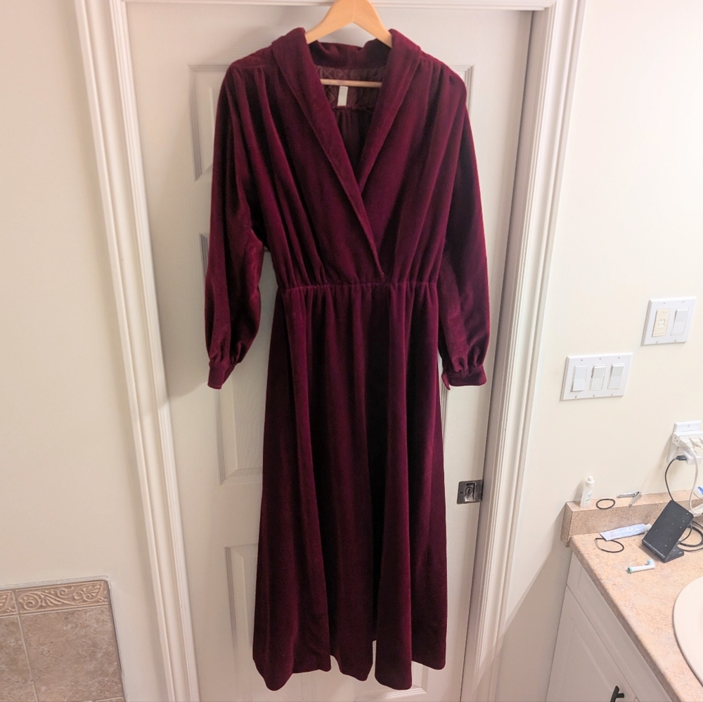 1970s Velvet House dress